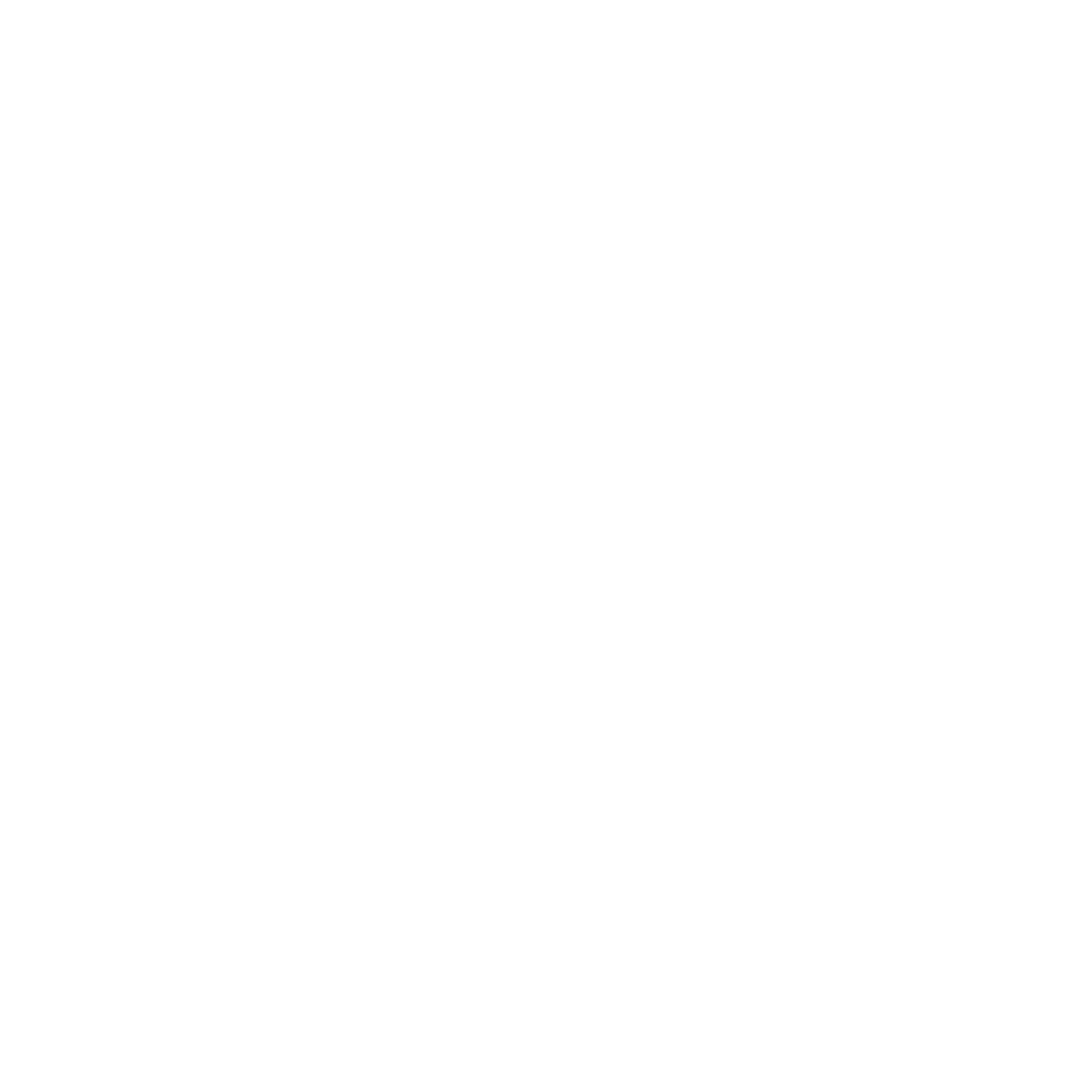 Multiple Loan Options
